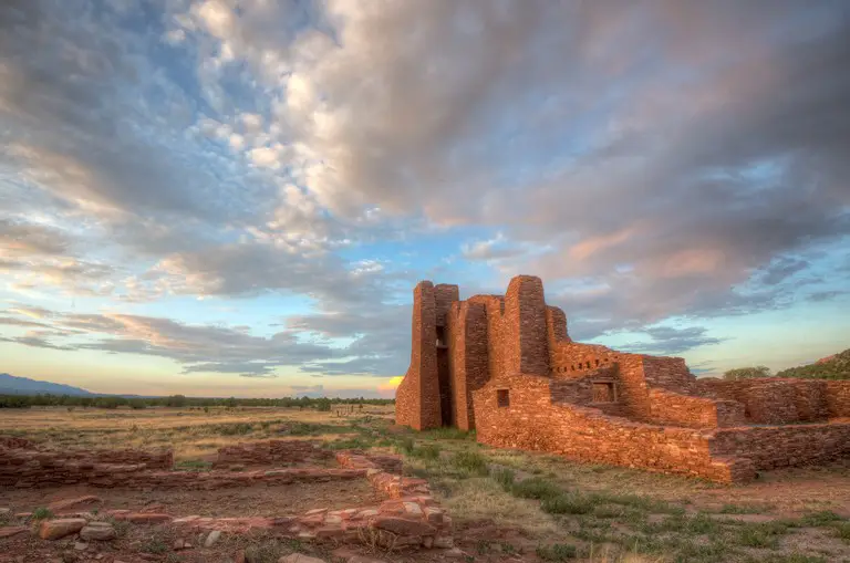 New Mexico concealed carry